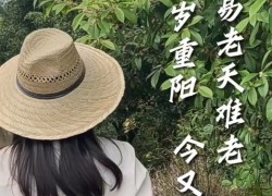 【重陽(yáng)節(jié)桂花糕】“桂花雨”落在松軟的米糕上，連著桂花蜜的甜味融化在舌尖上，這份獨(dú)屬于秋天的歡迎儀式，連帶著重陽(yáng)節(jié)的獻(xiàn)禮一起和大家分享！